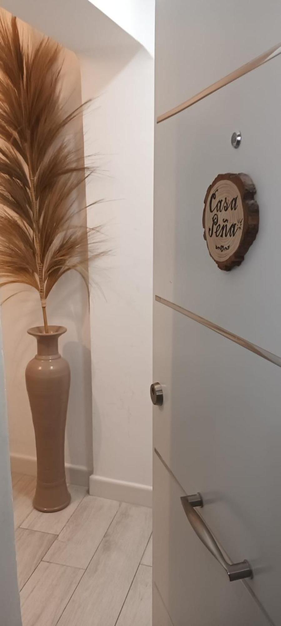 マラガCasa Penaアパートメント エクステリア 写真